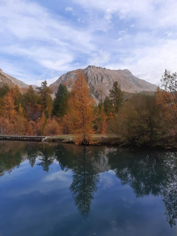 Chalet Miel De La Cayolle-Estenc Entraunes Buitenkant foto